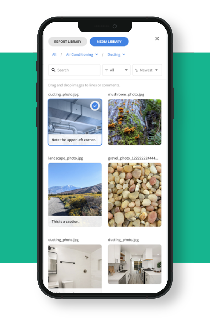 PT Web Images